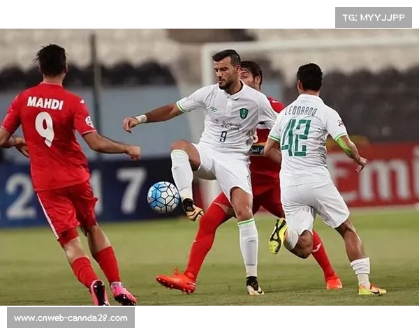 老将菲尔米诺效力萨德，年龄与体能成征战亚冠挑战